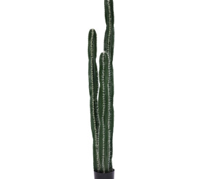 Διακοσμητικό φυτό Cactus II σε γλάστρα Inart πράσινο pp Υ155εκ