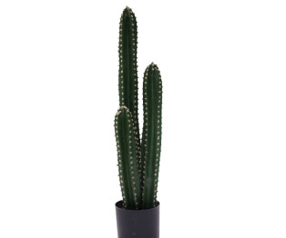 Διακοσμητικό φυτό Cactus III σε γλάστρα Inart πράσινο pp Υ85εκ
